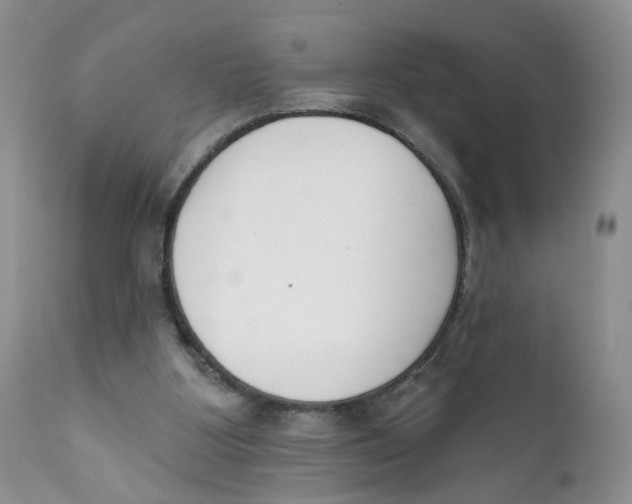 X0000111610107200908141303
