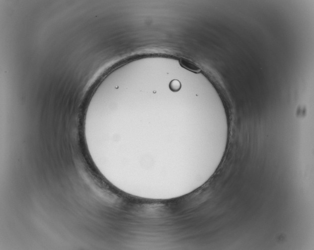 X0000111610108200908141303