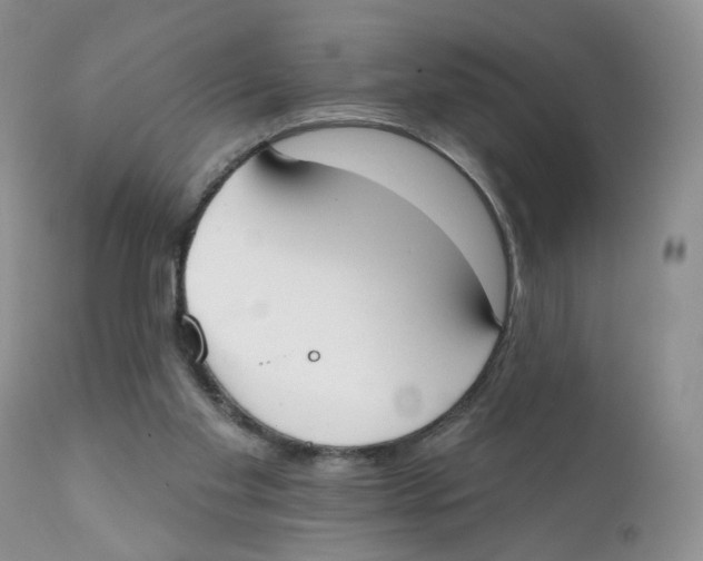 X0000111610109200908141303