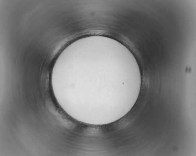 X0000111610110200908141303