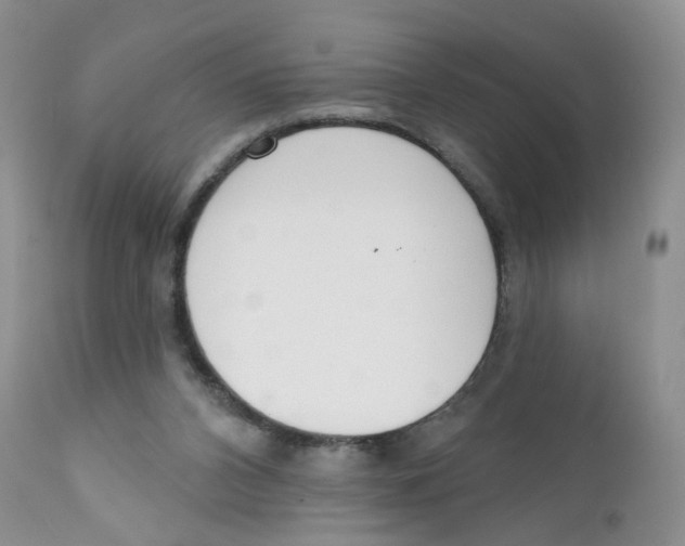 X0000111610112200908141303