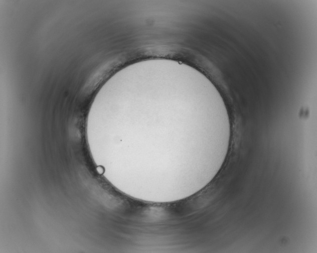 X0000111610114200908141303
