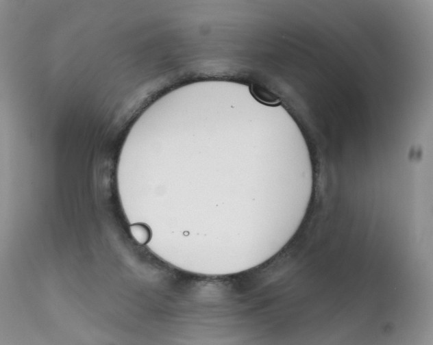 X0000111610115200908141303
