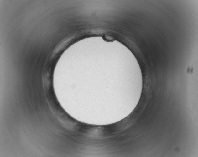 X0000111610116200908141303