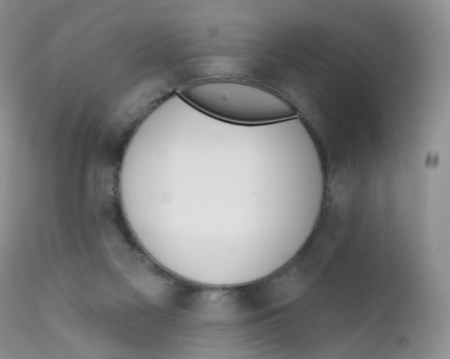 X0000111610117200908141303