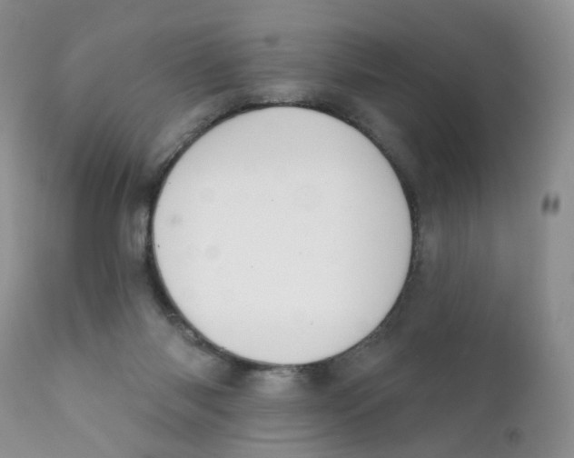 X0000111610118200908141303