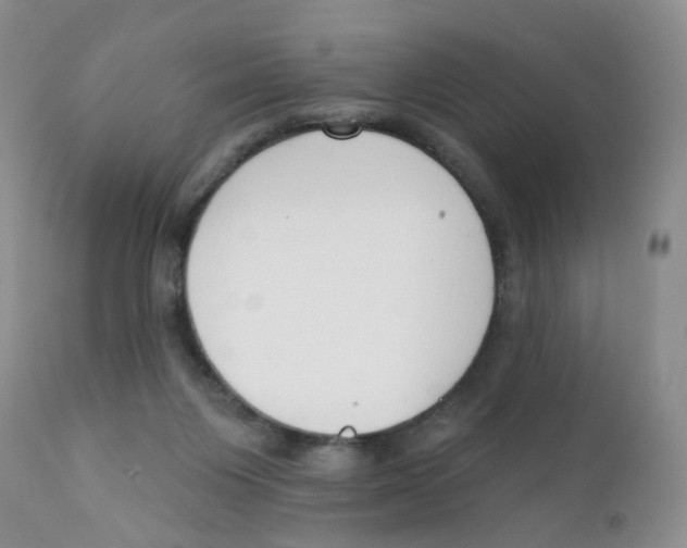 X0000111610119200908141303