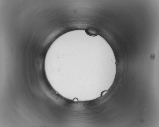 X0000111610120200908141303