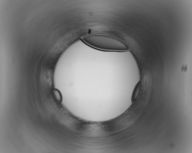 X0000111610121200908141303