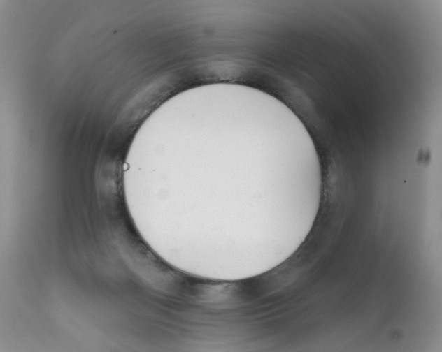 X0000111610122200908141303