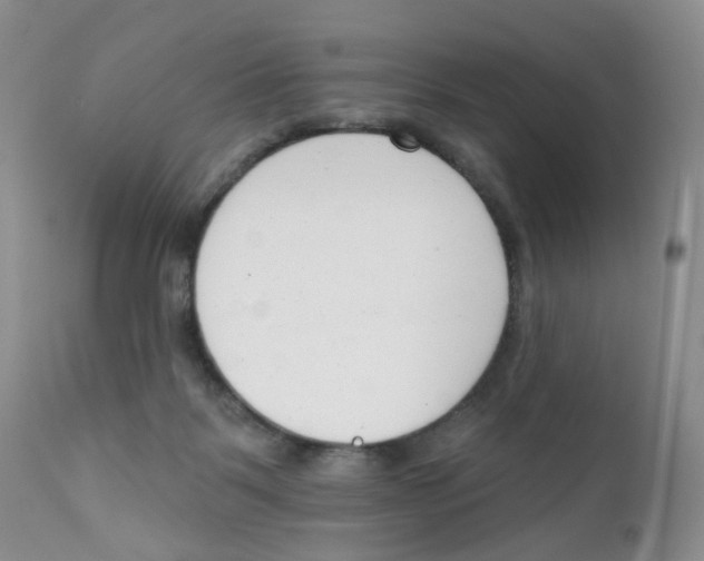 X0000111610123200908141303