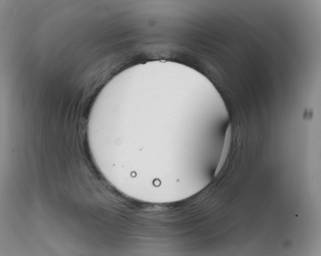 X0000111610125200908141303