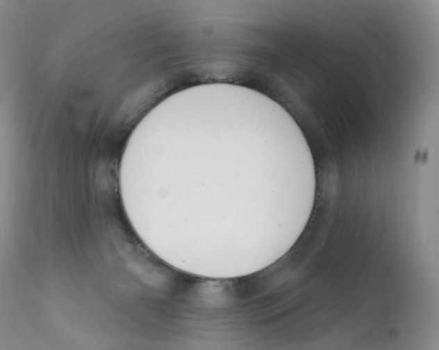 X0000111610126200908141303