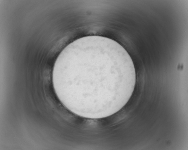 X0000111610127200908141303