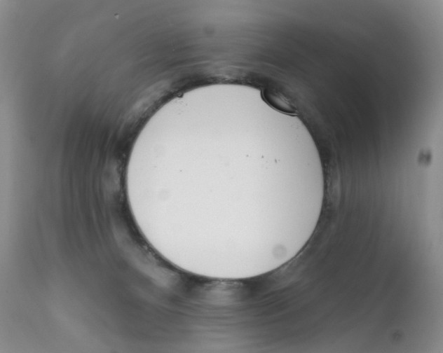 X0000111610128200908141303