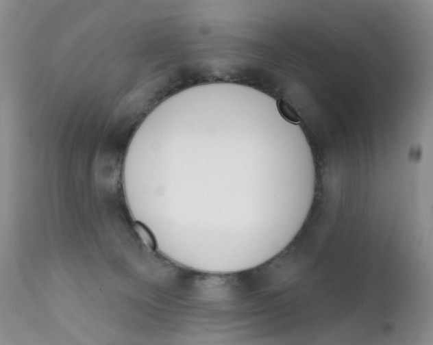 X0000111610129200908141303