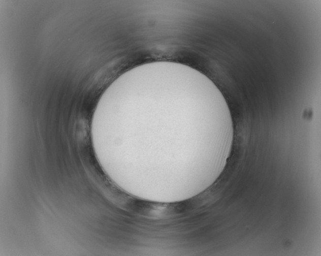 X0000111610130200908141303