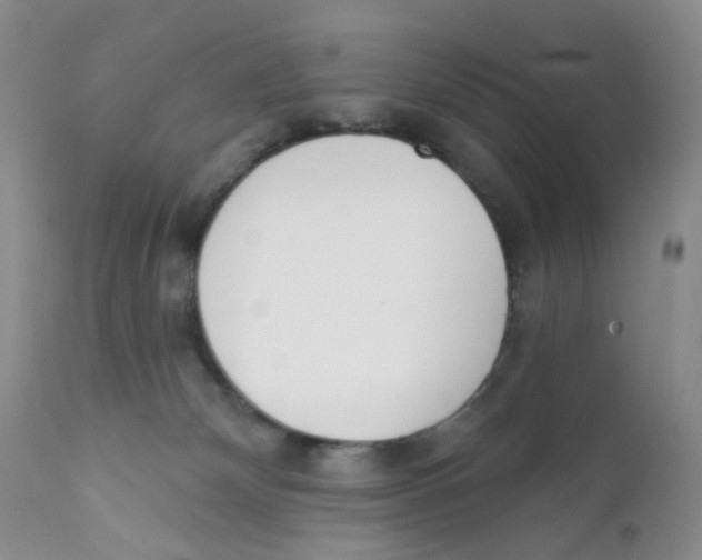 X0000111610132200908141303