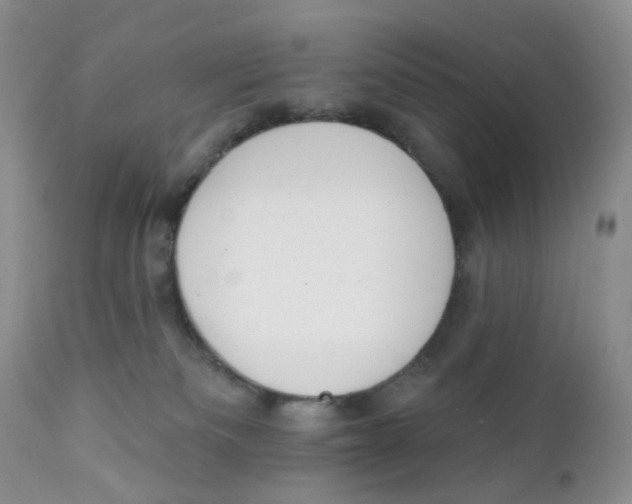X0000111610133200908141303