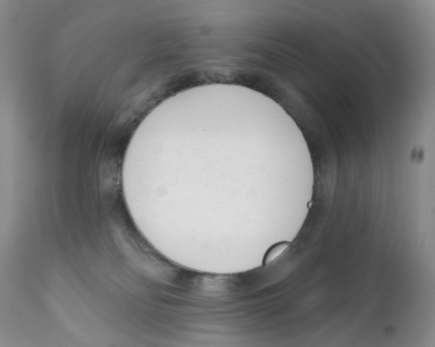 X0000111610134200908141303