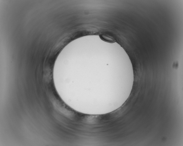 X0000111610136200908141303