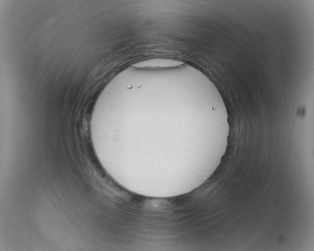 X0000111610137200908141303