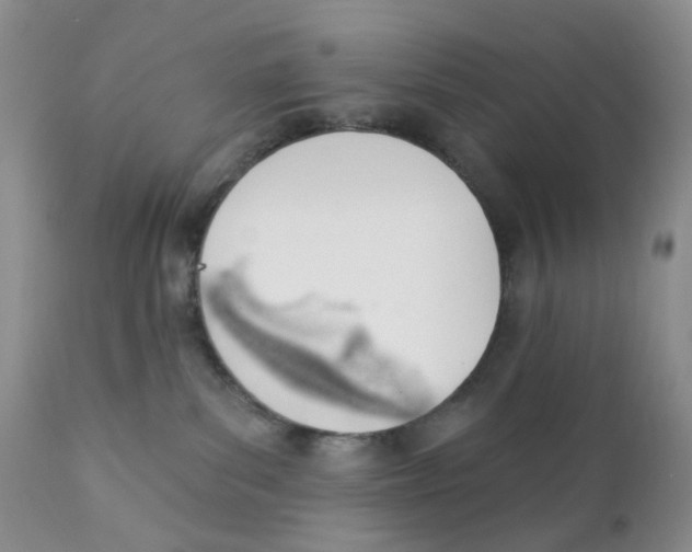 X0000111610139200908141303