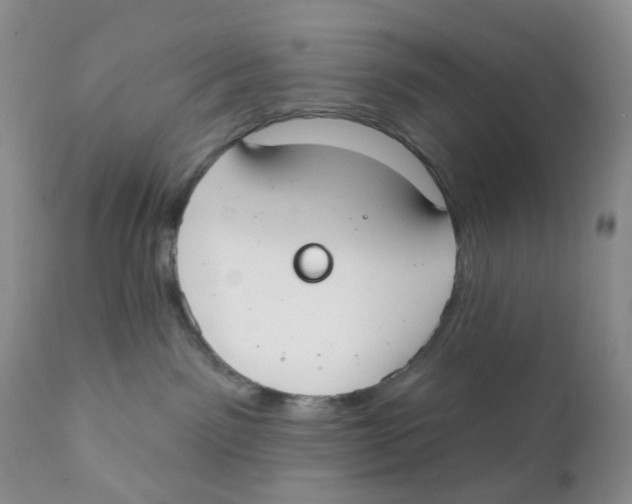 X0000111610141200908141303