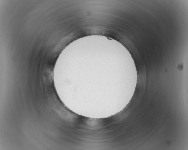 X0000111610142200908141303