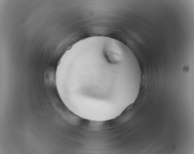 X0000111610143200908141303