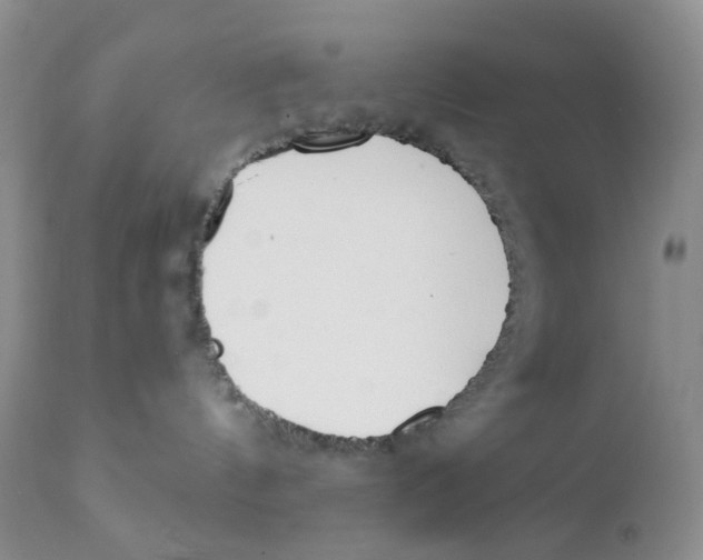 X0000111610144200908141303