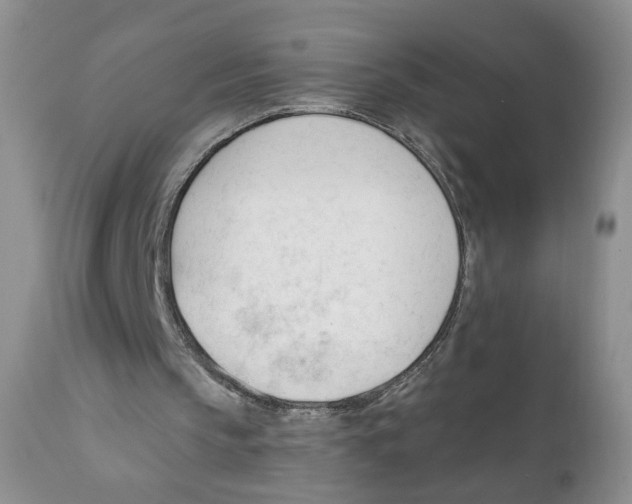 X0000111610145200908141302