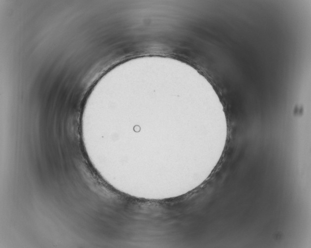 X0000111610146200908141302