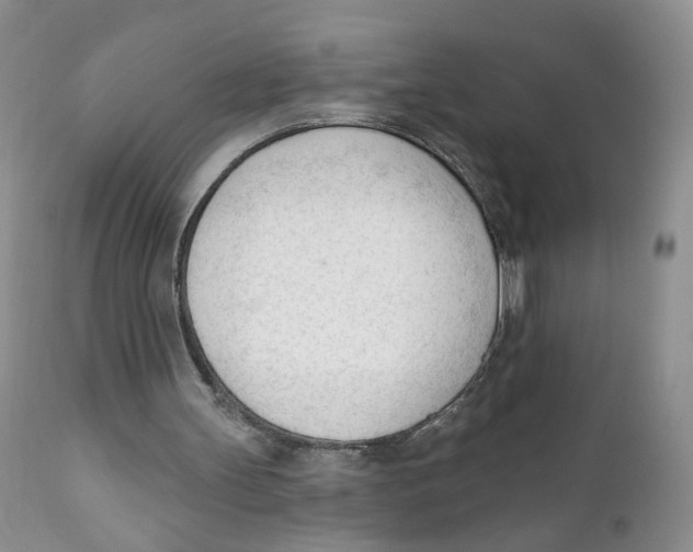 X0000111610147200908141302