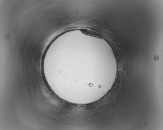 X0000111610148200908141302