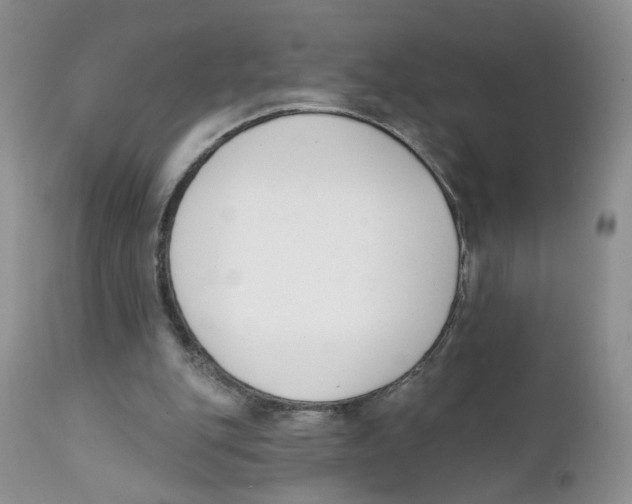 X0000111610151200908141302