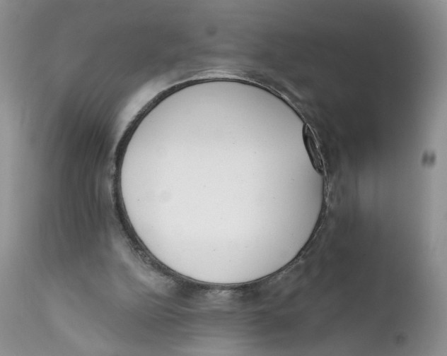 X0000111610152200908141302