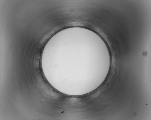 X0000111610153200908141302