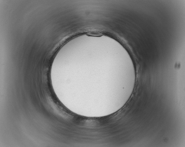 X0000111610154200908141302