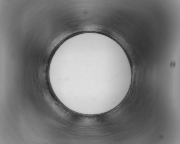 X0000111610155200908141302