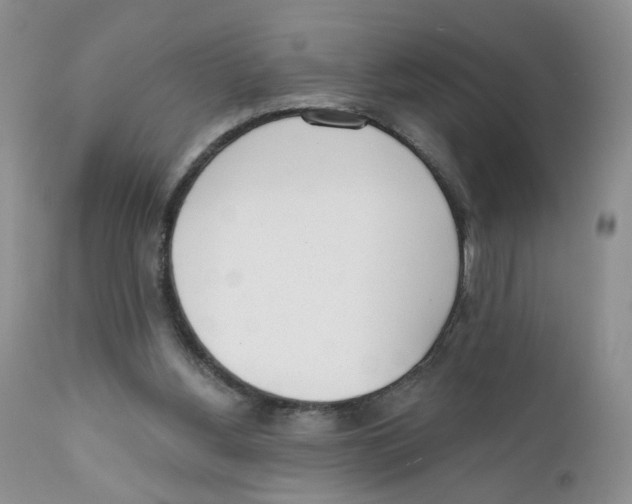 X0000111610156200908141302