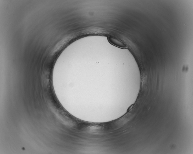 X0000111610158200908141302