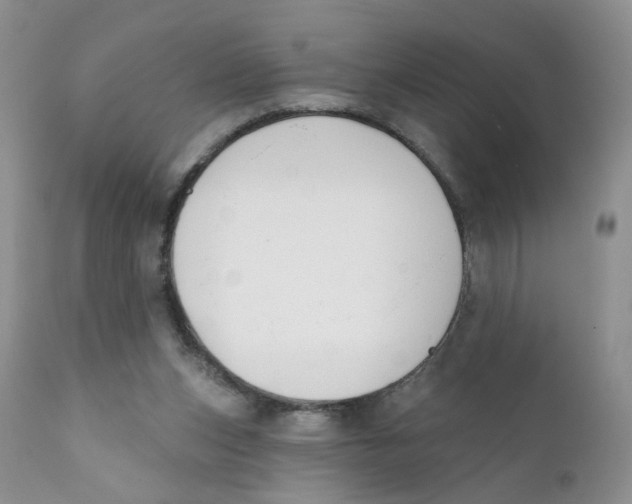 X0000111610159200908141302