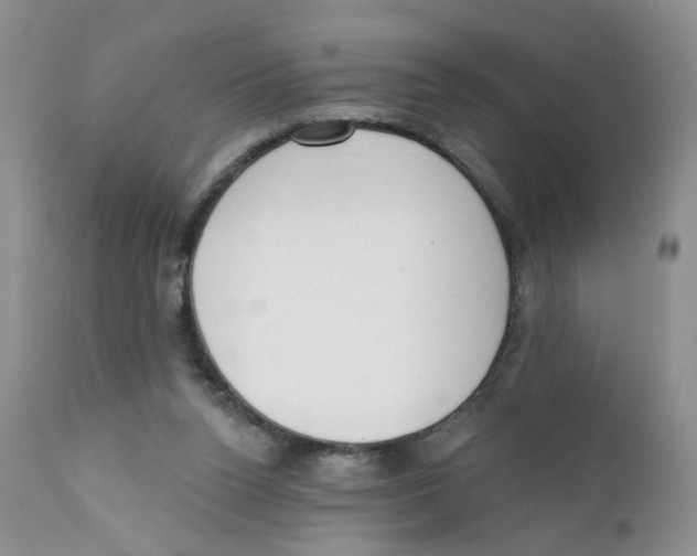 X0000111610160200908141302