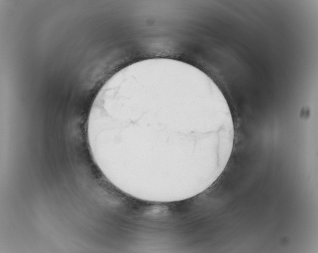 X0000111610162200908141302
