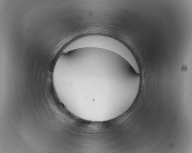 X0000111610164200908141302