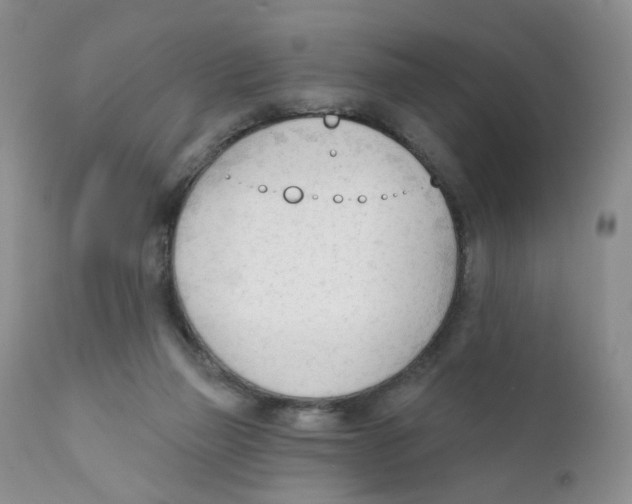 X0000111610165200908141302
