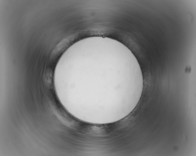 X0000111610166200908141302