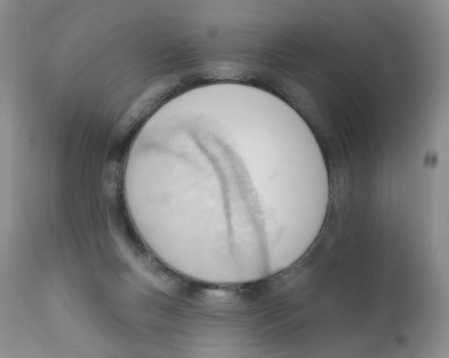 X0000111610167200908141302