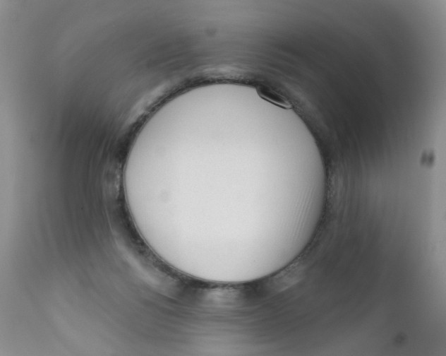 X0000111610168200908141302